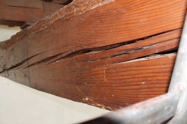 建筑加固后的病蟲(chóng)害防治 行業(yè)新聞 第5張 建筑加固后的病蟲(chóng)害防治 行業(yè)新聞 第5張