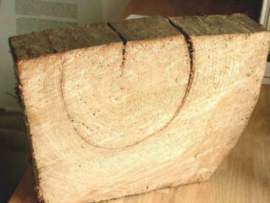 建筑加固后的病蟲(chóng)害防治 行業(yè)新聞 第6張 建筑加固后的病蟲(chóng)害防治 行業(yè)新聞 第6張