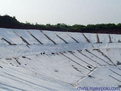 建筑加固對生態(tài)平衡的具體影響 行業(yè)新聞 第3張