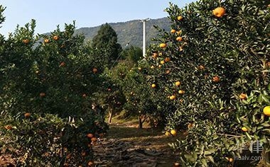 建筑加固施工安全管理規(guī)范 行業(yè)新聞 第2張