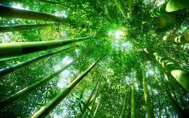 建筑結(jié)構(gòu)抗震設(shè)計(jì)中的剛度比應(yīng)用 行業(yè)新聞 第3張