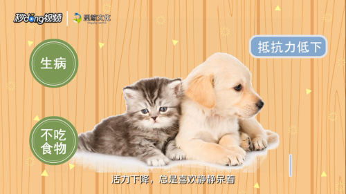 甲醛超標(biāo)如何自我檢測 行業(yè)新聞 第6張