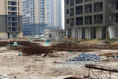 加固方案專家資質(zhì)認證查詢 行業(yè)新聞 第5張