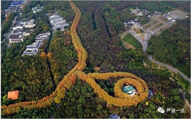 仿古材料在建筑加固中的應(yīng)用 行業(yè)新聞 第5張