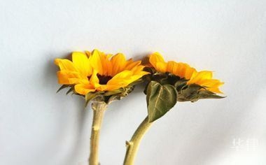 開一家50間房的賓館需要投資多少錢 行業(yè)新聞 第1張