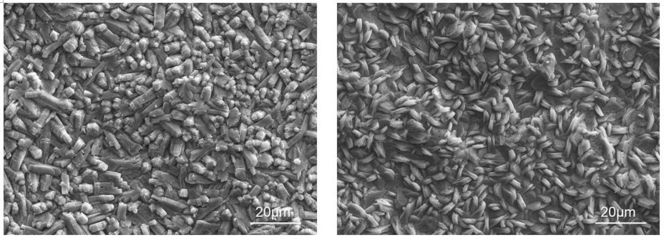 磷化處理對涂層耐腐蝕性的影響，化處理對涂層耐腐蝕 行業(yè)新聞 第5張