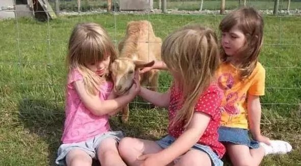 民宿酒店設(shè)計(jì)案例，酒店設(shè)計(jì)案例精選，打造舒適與美學(xué) 行業(yè)新聞 第4張