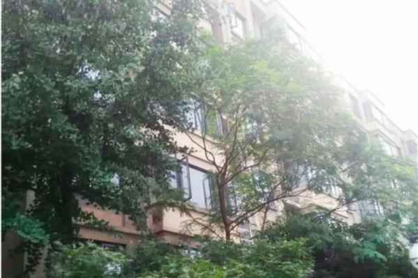 綠化設(shè)計(jì)對(duì)采光的影響，綠化設(shè)計(jì)對(duì)采光 行業(yè)新聞 第1張