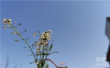 老舊房屋改造補(bǔ)貼申請條件，房屋改造補(bǔ)貼申請指南，條件與流程 行業(yè)新聞 第2張