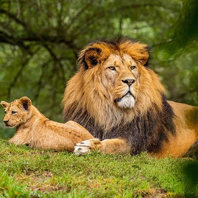 酒店設(shè)計(jì)院排名，酒店設(shè)計(jì)院排名一覽 行業(yè)新聞 第4張