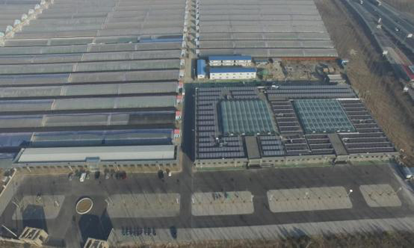 綠色農業(yè)建筑設計創(chuàng)新，幾種不同風格的標題供你參考，，聚焦綠色農業(yè)建筑，設計創(chuàng)新引領新潮流，解鎖綠色農業(yè)建筑設計的創(chuàng)新密碼，綠色農業(yè)建筑，以 行業(yè)新聞 第5張