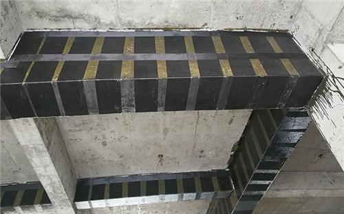 建筑加固施工中材料選擇要點(diǎn)，幾種不同風(fēng)格的標(biāo)題供你參考，你可以根據(jù)具體需求進(jìn)行選擇，，聚焦建筑加固施工，材料選擇的關(guān)鍵要點(diǎn)，解鎖建筑加固施工里材料選擇的核心要點(diǎn)，探秘建筑加固施工中材料選擇的重要要點(diǎn) 行業(yè)新聞 第1張