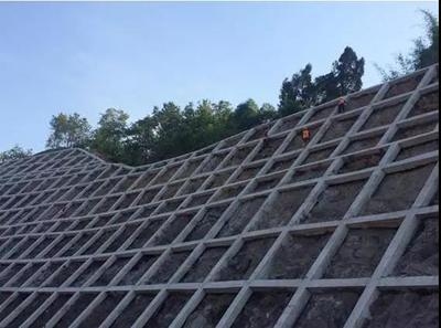 綠色加固材料的國際標準對比，幾種不同風格的標題供你參考，，聚焦，綠色加固材料國際標準大比拼，深度剖析，綠色加固材料的國際標準差異，解碼綠色加固 行業(yè)新聞 第5張