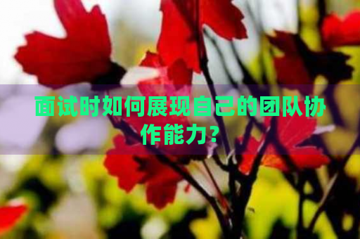 面試中如何展現(xiàn)團(tuán)隊協(xié)作能力，面試攻略，高效展現(xiàn)團(tuán)隊協(xié)作能力的黃金 行業(yè)新聞 第1張