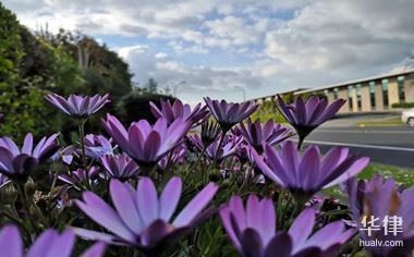 如何選擇專業(yè)的評(píng)估機(jī)構(gòu)，精準(zhǔn)甄選，解鎖專業(yè)評(píng)估機(jī)構(gòu)的選擇 行業(yè)新聞 第5張