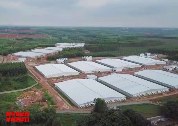 鋼結(jié)構(gòu)廠房規(guī)劃公司（鋼結(jié)構(gòu)廠房規(guī)劃公司關(guān)于鋼結(jié)構(gòu)廠房規(guī)劃公司的綜合信息整理）