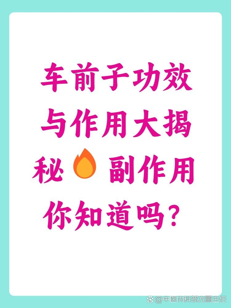 車前子有哪些副作用？（車前子使用禁忌速查表）