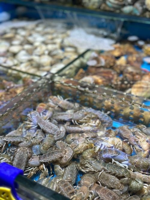 武漢觀賞魚批發(fā)市場