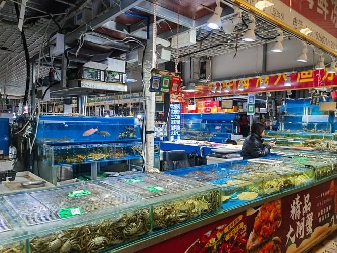 武漢觀賞魚批發(fā)市場