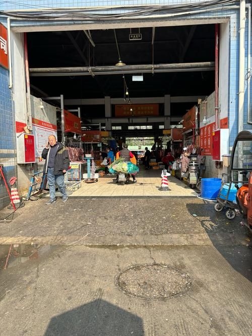 武漢觀賞魚批發(fā)市場