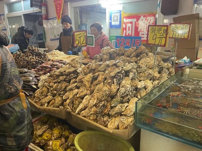 武漢觀賞魚批發(fā)市場