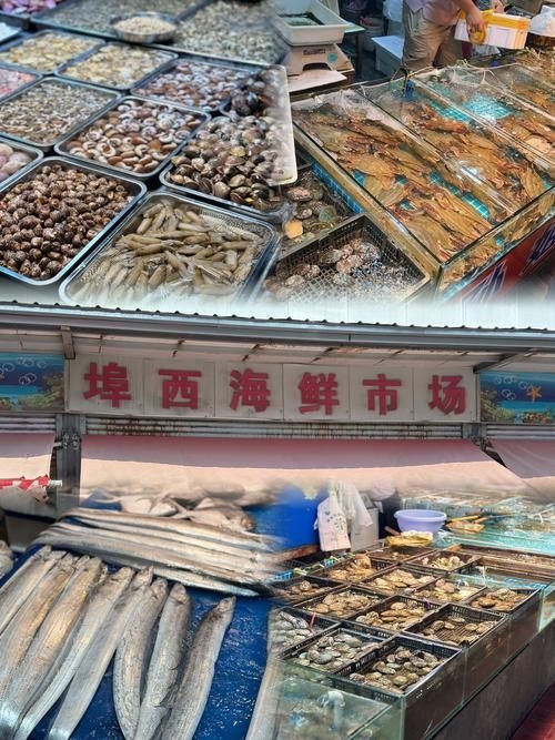 武漢觀賞魚批發(fā)市場