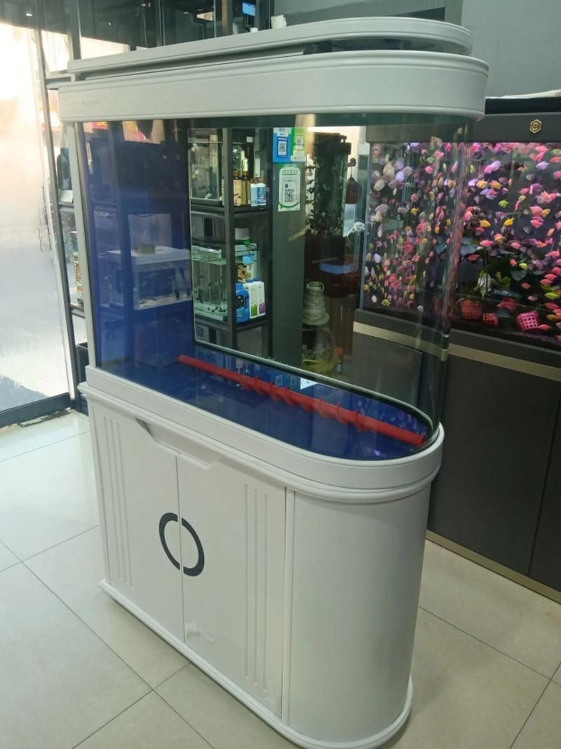 佛山魚缸批發(fā)市場(佛山魚缸批發(fā)市場1.高端龍魚品牌祥龍魚場-)