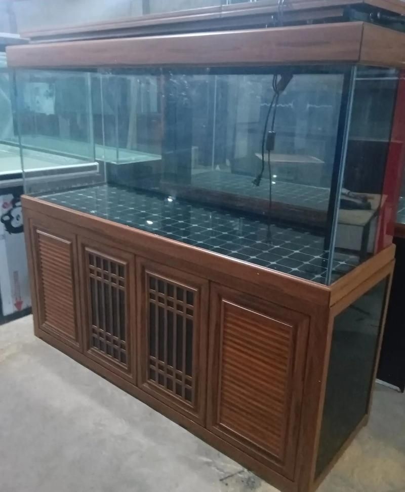 佛山魚缸批發(fā)市場(佛山魚缸批發(fā)市場1.高端龍魚品牌祥龍魚場-)