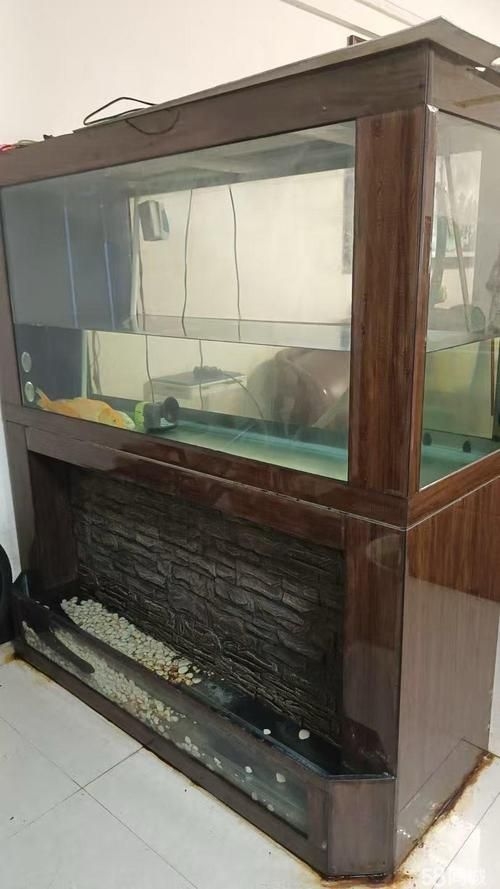 佛山魚缸批發(fā)市場(佛山魚缸批發(fā)市場1.高端龍魚品牌祥龍魚場-)