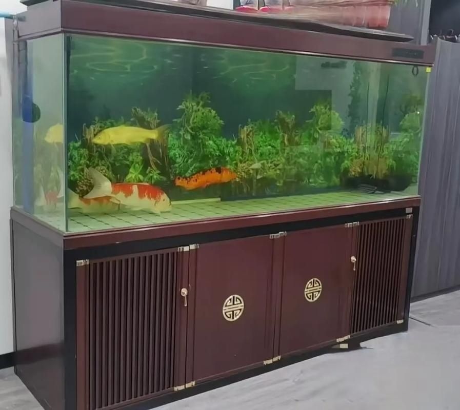 佛山魚缸批發(fā)市場(佛山魚缸批發(fā)市場1.高端龍魚品牌祥龍魚場-)