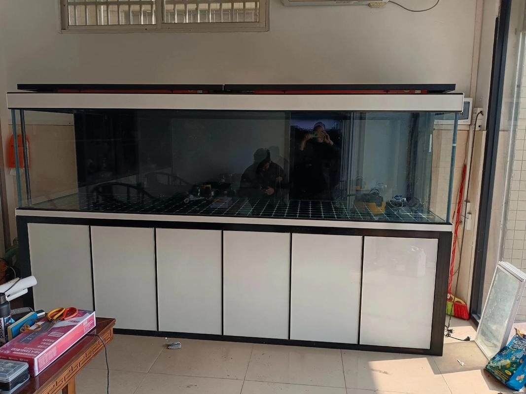 佛山魚缸批發(fā)市場（佛山魚缸批發(fā)市場1.高端龍魚品牌祥龍魚場-）