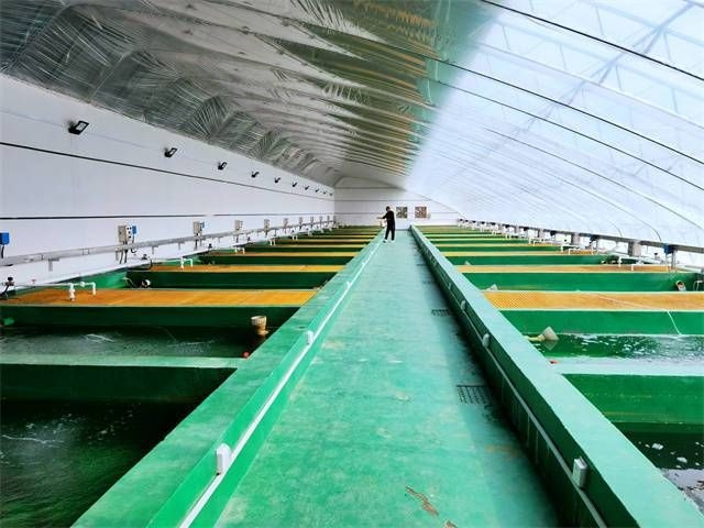 駐馬店魚(yú)缸批發(fā)市場(chǎng)