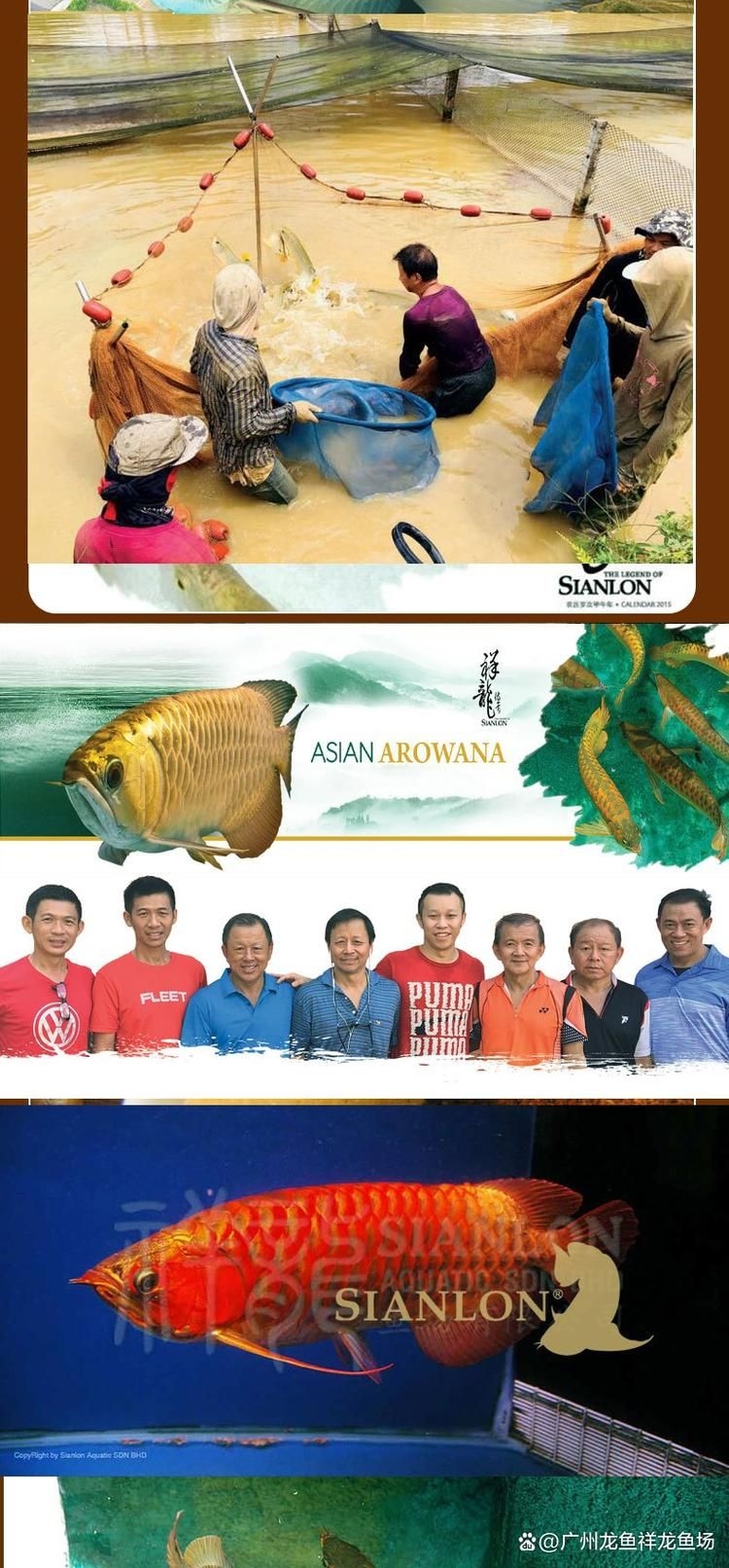 九江觀賞魚批發(fā)市場(九江觀賞魚批發(fā)市場和祥龍魚場有哪些品牌營銷策略)