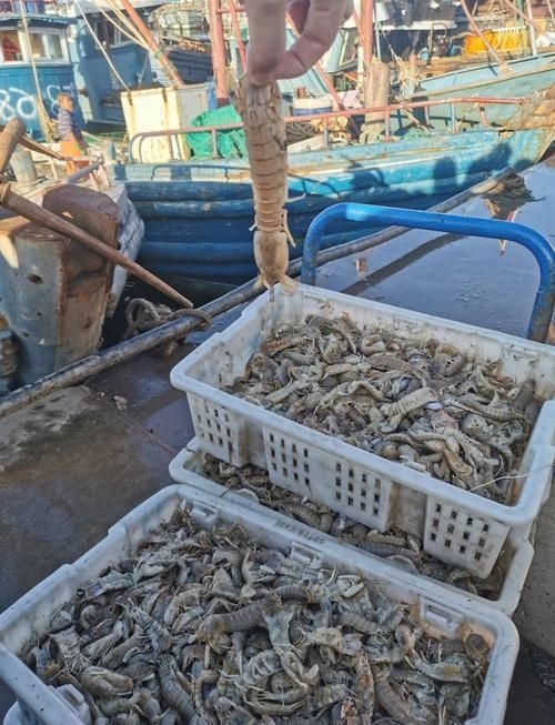 煙臺水族批發(fā)市場（煙臺水族批發(fā)市場和祥龍魚場有哪些知名品種和營銷策略）