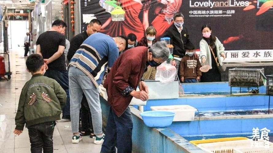 許昌水族批發(fā)市場(chǎng)（許昌水族批發(fā)市場(chǎng)和祥龍魚場(chǎng)的分析來啦，我?guī)湍闶崂砹撕诵男畔⒑蛨D文資料）