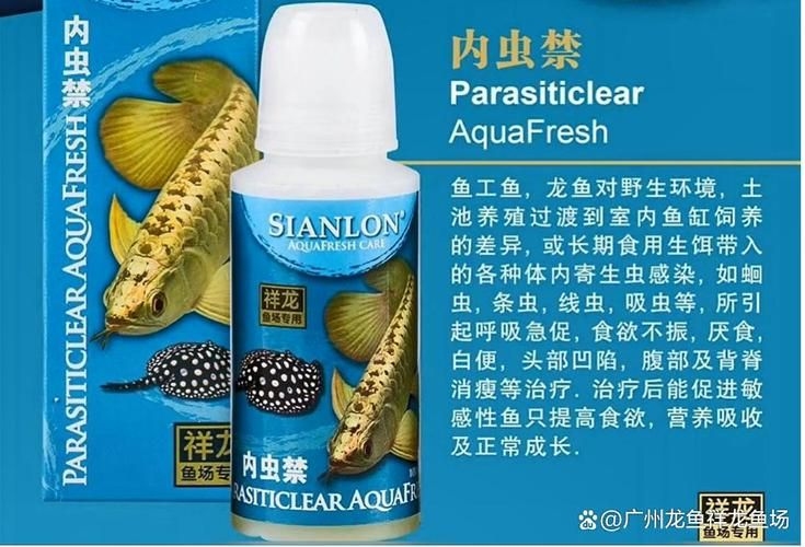 許昌水族批發(fā)市場(chǎng)（許昌水族批發(fā)市場(chǎng)和祥龍魚場(chǎng)的分析來啦，我?guī)湍闶崂砹撕诵男畔⒑蛨D文資料）