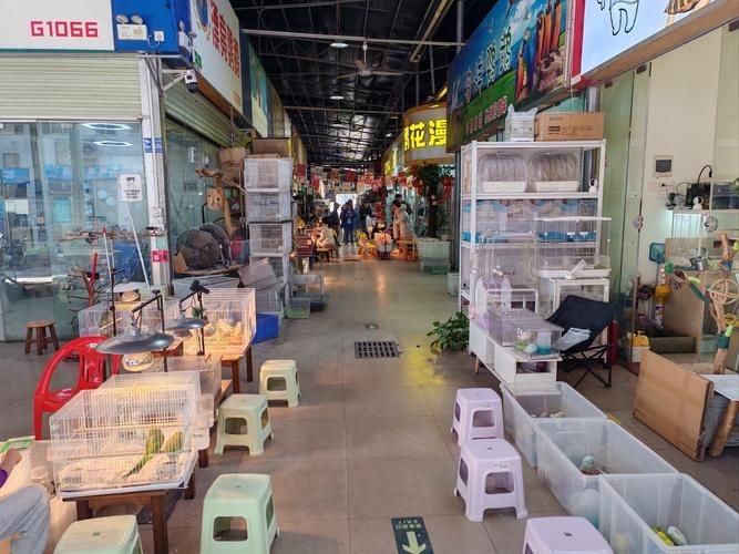 安慶觀賞魚批發(fā)市場