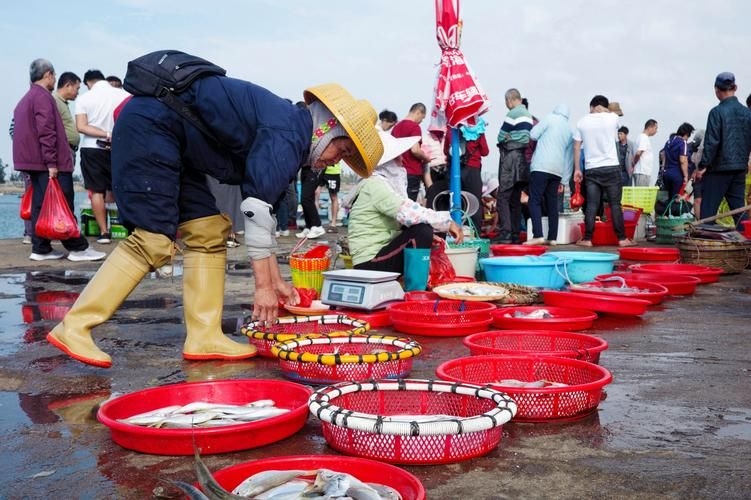 安慶觀賞魚批發(fā)市場