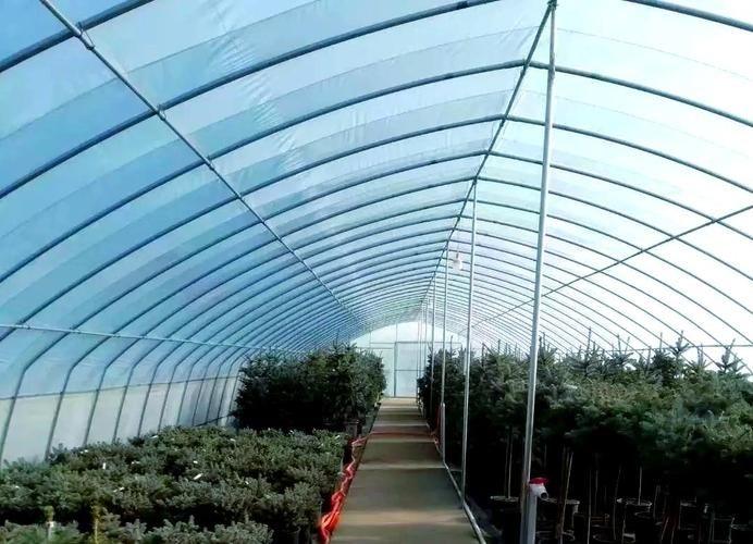 給我一些鋼棚搭建的圖片參考（給我一些鋼棚搭建的圖片參考,給我一些鋼棚搭建的圖片參考來啦）