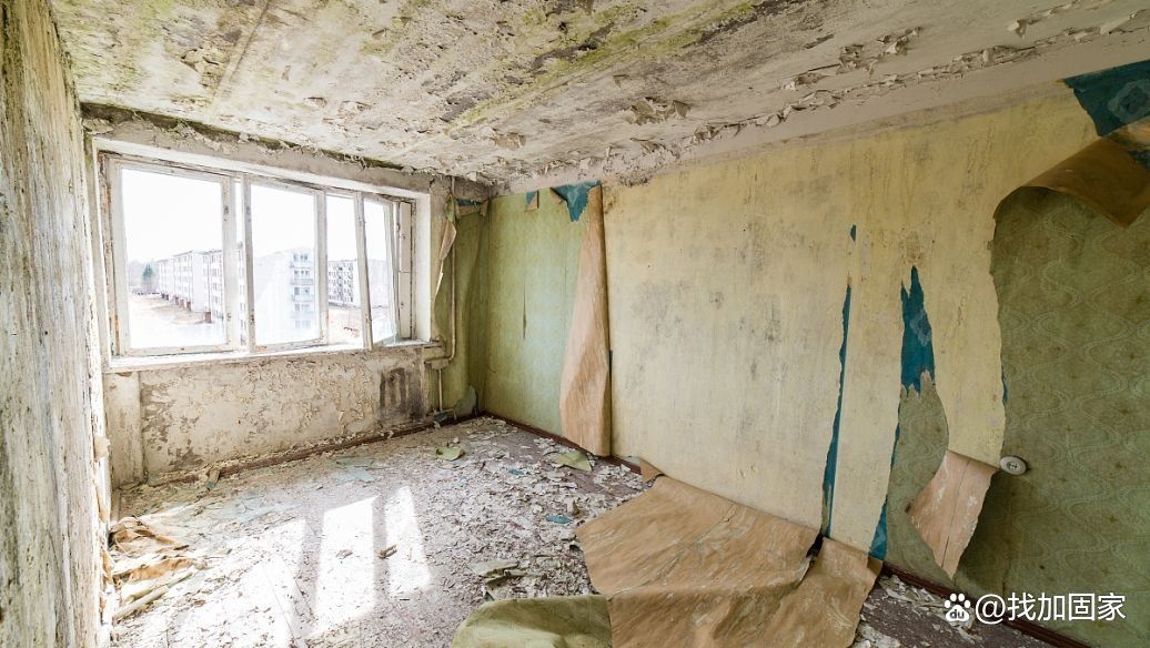 混磚房承重墻能拆除嗎？（上海高院，拆除承重墻后怎么處理）