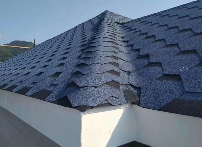 給我一些民用鋼結(jié)構(gòu)屋頂?shù)膱D片(民用鋼結(jié)構(gòu)屋頂實(shí)拍圖)