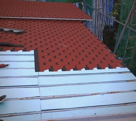 給我一些民用鋼結(jié)構(gòu)屋頂?shù)膱D片(民用鋼結(jié)構(gòu)屋頂實(shí)拍圖)