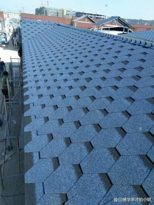 給我一些民用鋼結(jié)構(gòu)屋頂?shù)膱D片(民用鋼結(jié)構(gòu)屋頂實(shí)拍圖)