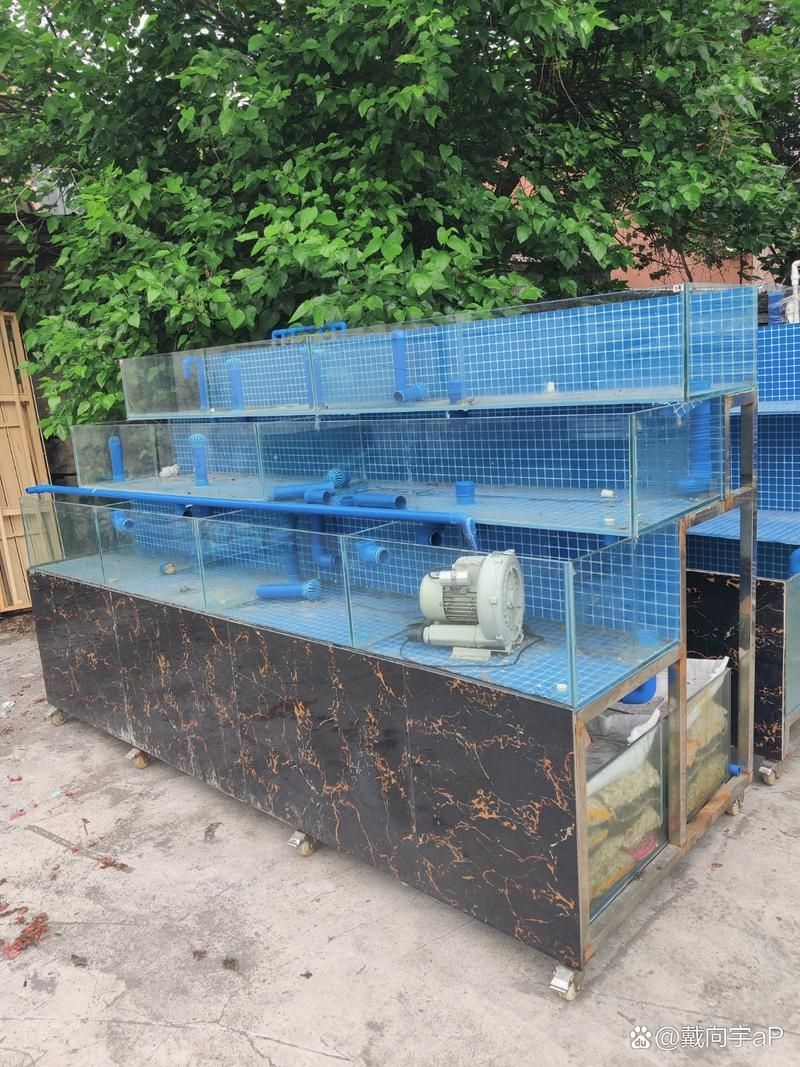 滁州魚缸批發(fā)市場(滁州魚缸批發(fā)市場和祥龍魚場的營銷策略幫你整理得明明白白)