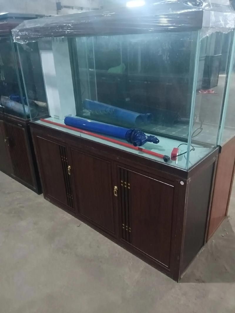 滁州魚缸批發(fā)市場(滁州魚缸批發(fā)市場和祥龍魚場的營銷策略幫你整理得明明白白)