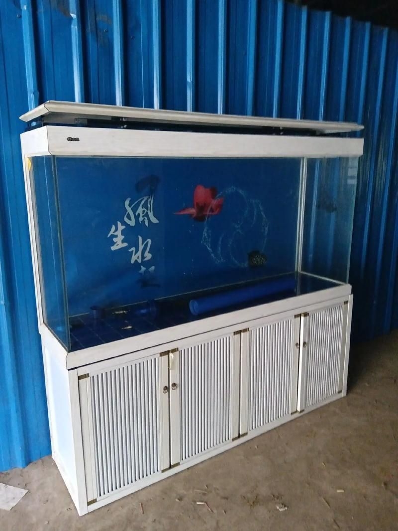 滁州魚缸批發(fā)市場(滁州魚缸批發(fā)市場和祥龍魚場的營銷策略幫你整理得明明白白)