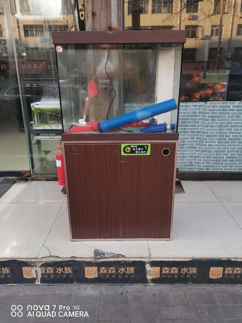 滁州魚缸批發(fā)市場(滁州魚缸批發(fā)市場和祥龍魚場的營銷策略幫你整理得明明白白)