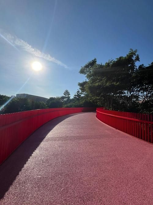 給我推薦一些經(jīng)典的鋼結(jié)構(gòu)景觀橋案例（給我推薦一些經(jīng)典的鋼結(jié)構(gòu)景觀橋案例,嘿，看來你對景觀橋很感興趣）