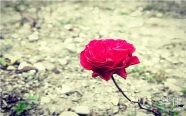 如何證明開發(fā)商存在欺詐行為？ 行業(yè)新聞 第2張