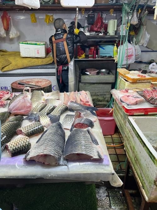 宜賓龍魚批發(fā)市場（宜賓龍魚批發(fā)市場分析） 行業(yè)新聞 第3張